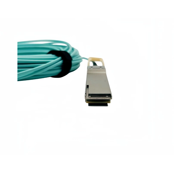 Feasibility Study Report on Polymer Fiber Optic Panels