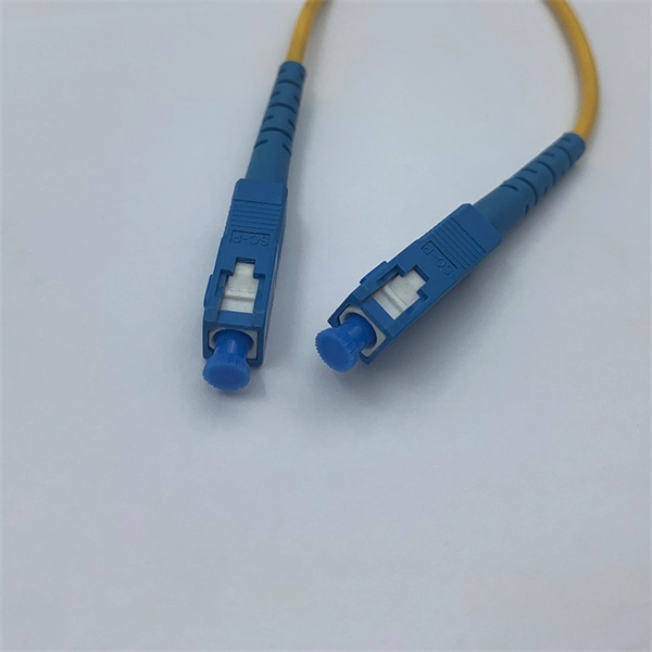 What electrical components are installed in the distribution box