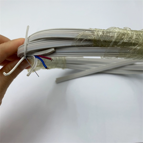 Studying abroad in fiber optic communication