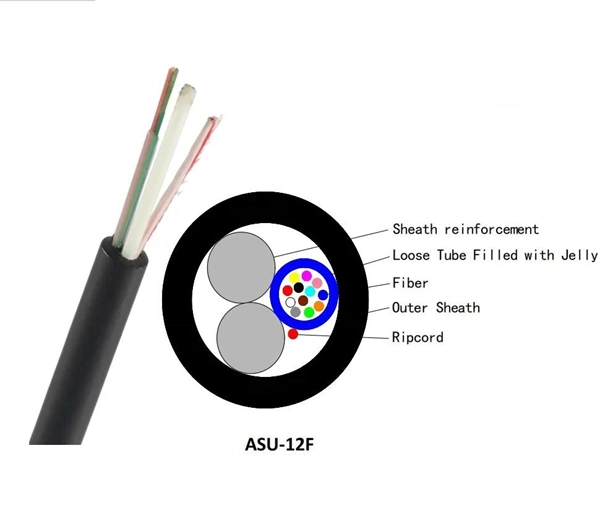 OLED and optical modules