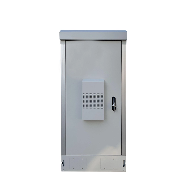 Gigabit optical port 100Mbps module